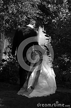 Newlywed couple in vineyard Stock Photo