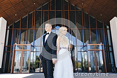 Newlyweds kiss under a veil on background willow Stock Photo