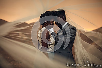 Newlyweds stand under bridal veil and embrace in canyon at sunset. Stock Photo