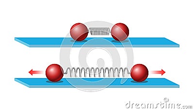 Newton Law of Motion. Law of inertia. Elastic force. Change in the distance of movement of an object depending on the compression Vector Illustration