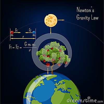 Newton`s Gravity law infographic with Earth globe, moon, apple tree and basic diagram. Cartoon Illustration