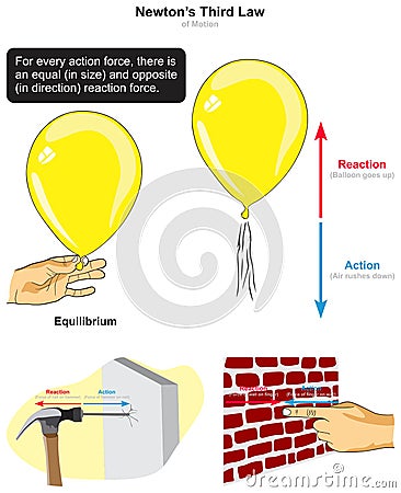 Newton third law of motion infographic diagram example balloon hammer nail pressing wall Vector Illustration