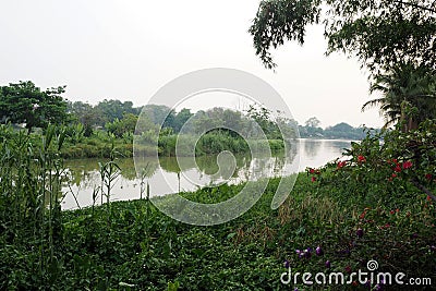 next to the river close to the nature Stock Photo