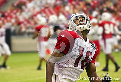 NFL Arizona Cardinals football team training camp Editorial Stock Photo