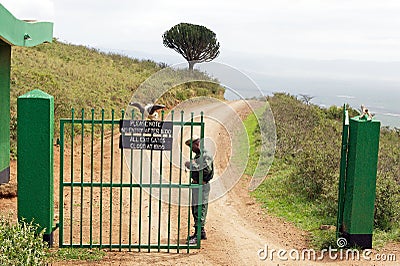 Ngorongoro Crater gate Editorial Stock Photo