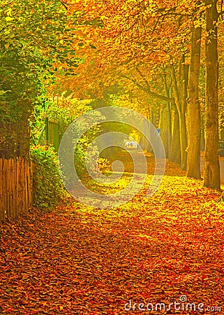 Nice autumnal scene Stock Photo