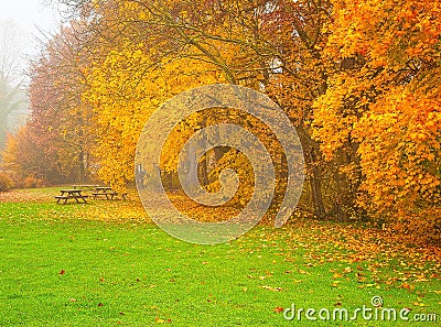 Nice autumnal scene Stock Photo