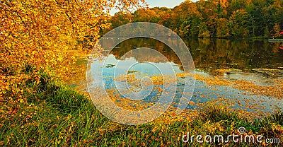 Nice autumnal scene Stock Photo