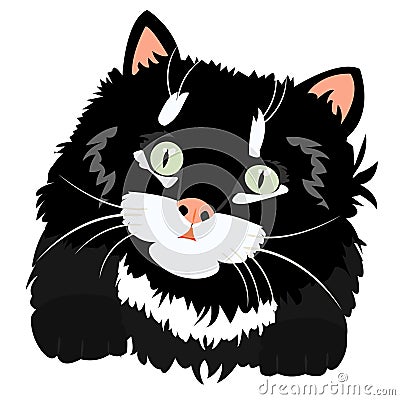 Nice black kitty on white Stock Photo