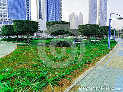 Nice cutting trees green grass Editorial Stock Photo