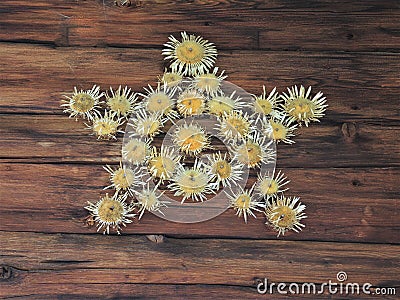 Nice decoration on a wooden door - pentagonal star of dried silver thistles Stock Photo