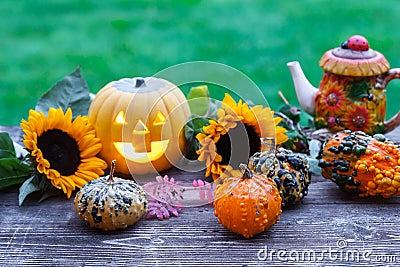 A nice decorative pumpkins on rustic background Stock Photo