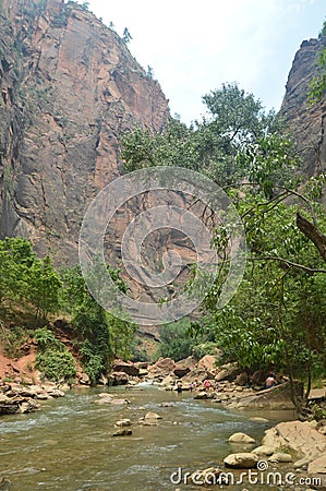 Nice Desfuladero With A Sinuous River Full Of Water Pools Where You Can Take A Good Bath In The Park Of Zion. Geology Travel Holid Stock Photo