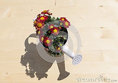 nice ewer with flowers and shadow Stock Photo