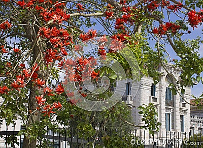 Historic lycee Massena in Nice Stock Photo