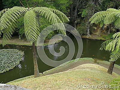 Nice garden Stock Photo