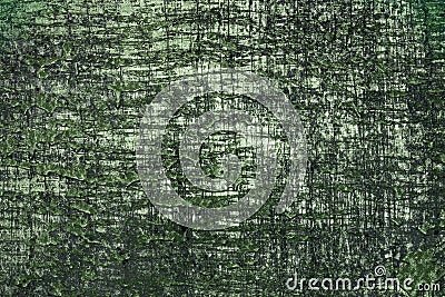 green creative grungy tinted natural wooden panel texture - wonderful abstract photo background Stock Photo