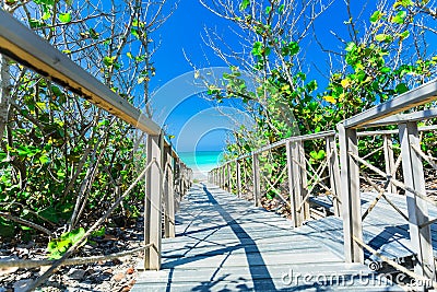 Nice inviting path, walkway through tropical garden toward the beach and ocean on sunny beautiful day Stock Photo