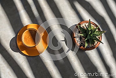 Latte on saucer and plant in pot Stock Photo