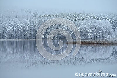 Beauty in nature. Snowy reflections Stock Photo