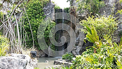 Nice Little waterfall in Thai Dream world Park Editorial Stock Photo