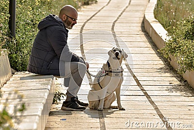 Nice little white blind dog n the walk Editorial Stock Photo