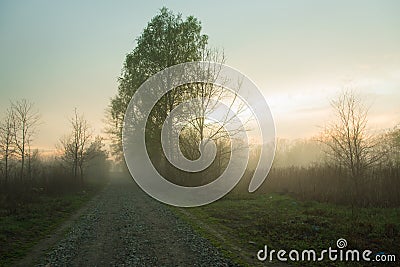 Nice Misty evening Stock Photo