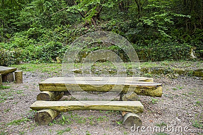 A nice resting place in the forest Stock Photo