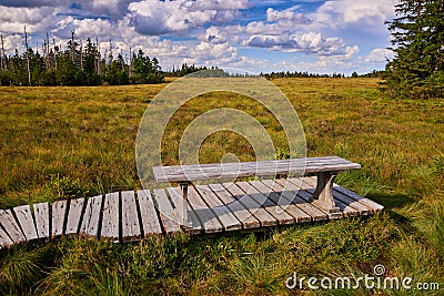 nice resting place in woodland Stock Photo