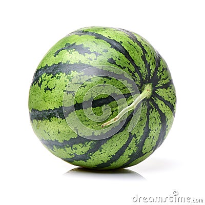 Nice round watermelon Stock Photo