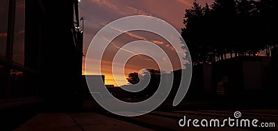 Nice Sky With Black Trees In Lancing Stock Photo