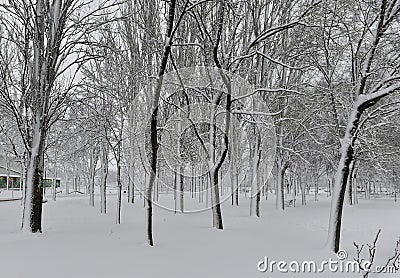 a nice snowy landscape Stock Photo