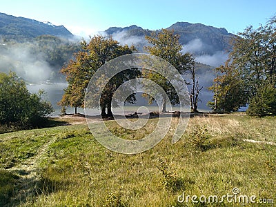Nice sonny and fogy day Stock Photo