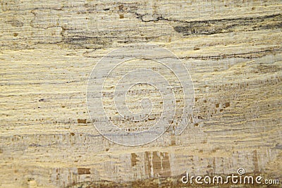 Nice texture Stock Photo