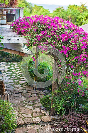 Nice view of flower garden in a cozy little hotel Stock Photo