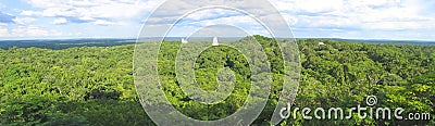 Nice view over the maya ruins Stock Photo