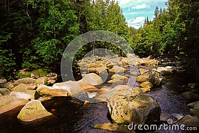 Stones on river in green forest, Czech Republic, August Stock Photo