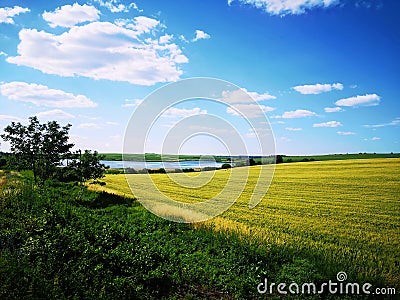 Nice view of summer landscape. Farm yellow fields. Ukraine. Stock Photo