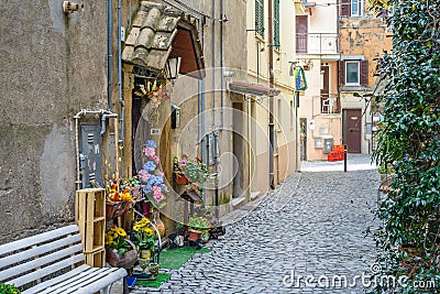 Nice Village street Editorial Stock Photo