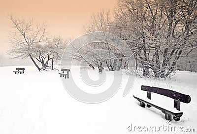 Nice winter photo Stock Photo