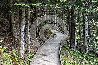 Nice wooden path of AigÃ¼estortes i Estany de Sant Maurici National Park in a Spanish Pyrenees mountain Stock Photo