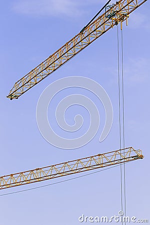 Nice yellow cranes Stock Photo