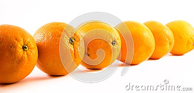 Nicely colored oranges on a white background - front and back lined next to each other Stock Photo