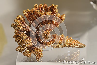 Beautiful dendrites of nickel with gilding close-up on a stand in the museum. Precious natural resources Stock Photo