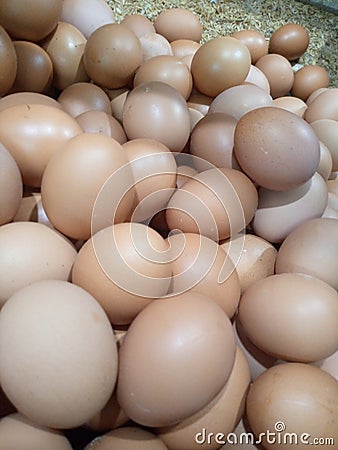 Nickname of this fresh brown eggs in indonesia is domestic chicken egg Stock Photo