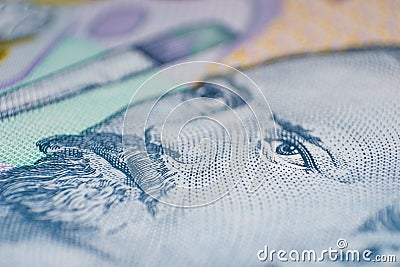 Nicolae Grigorescu face close-up from Romanian money lei Stock Photo