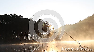 Niebla móvil cerca del lago que acampa por la mañana con luz del sol Niebla móvil cerca del lago que acampa por la mañana con luz del sol