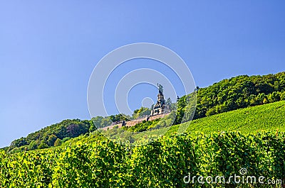 Niederwalddenkmal Germania monument on Niederwald broad hill with vineyards green fields of Rhine river valley Stock Photo