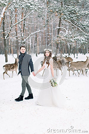 Niewlyweds are walking in the snowy forest. Side view. Deer herd on the background. Winter wedding Stock Photo