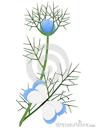 Nigella damask branch with a butterfly on a white background. Vector Illustration